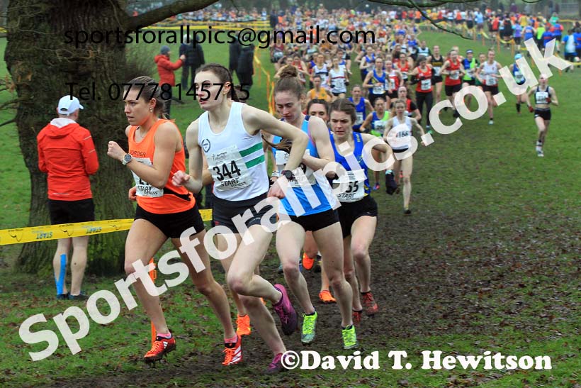 Senior Womens 2023 Northern Cross Country Champs., Witton Park, Blackburn. Photo: David T. Hewitson/Sports for All Pics